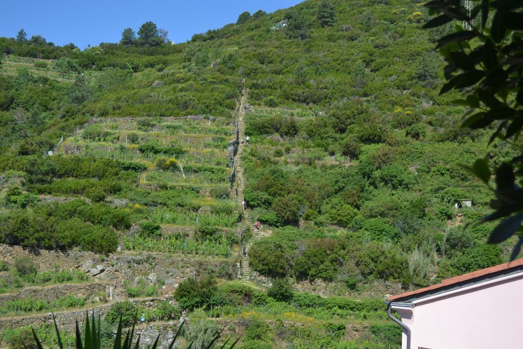 In Tracastello - Air Cond - Parking Not Included - Hotel Riomaggiore Exterior photo